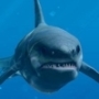 Benutzeravatar